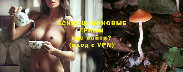 ешки Аркадак