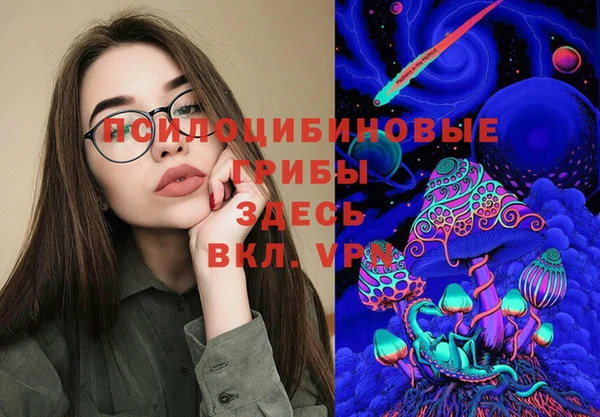 ешки Аркадак