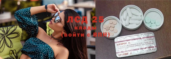 ешки Аркадак